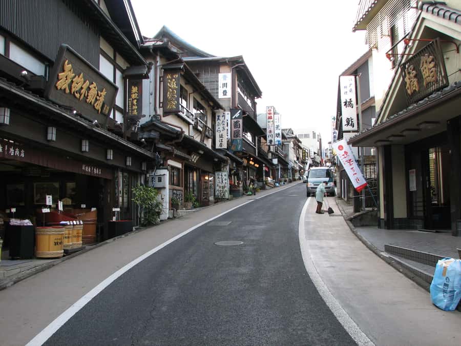 NARITA: Walking Tour, Omotesando street, Narita-san Temple - Naritasan Park and a slower half hour