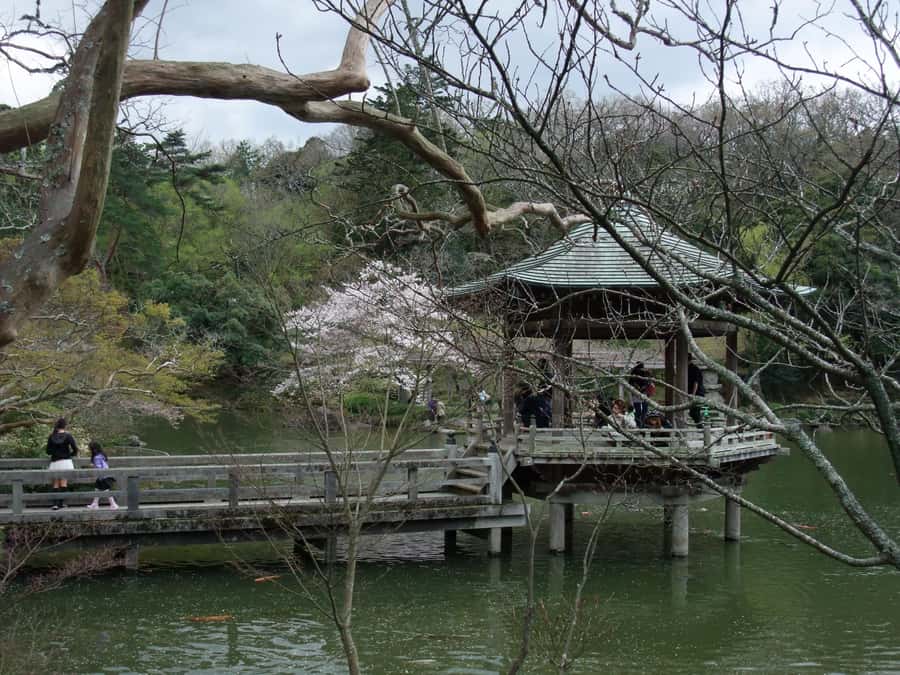 NARITA: Walking Tour, Omotesando street, Narita-san Temple - Who should book this Narita walk