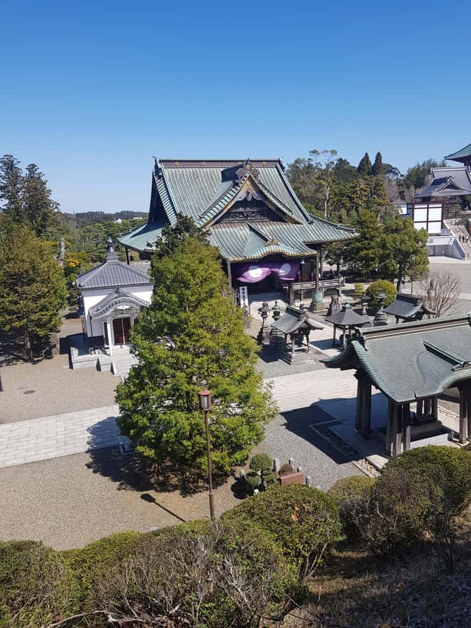 NARITA: Walking Tour, Omotesando street, Narita-san Temple - Omotesando Street, eel, and old Narita storefronts