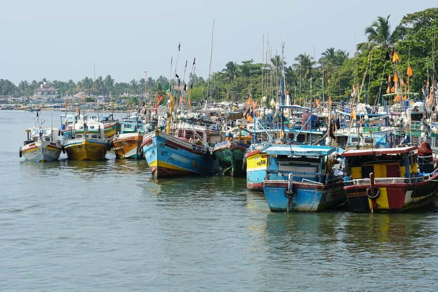 Negombo Private Tour: Market, Temples & Canal - Sri Singama Kali Amman Kovil and Its Hindu Traditions