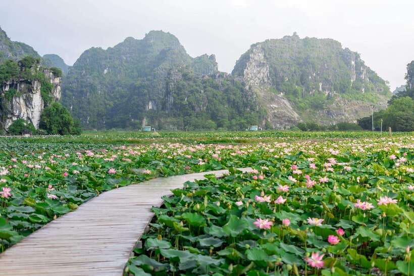 Ninh Binh : Bai Dinh Pagoda, Trang An, and Mua Cave Tour - Should you book this Ninh Binh tour?