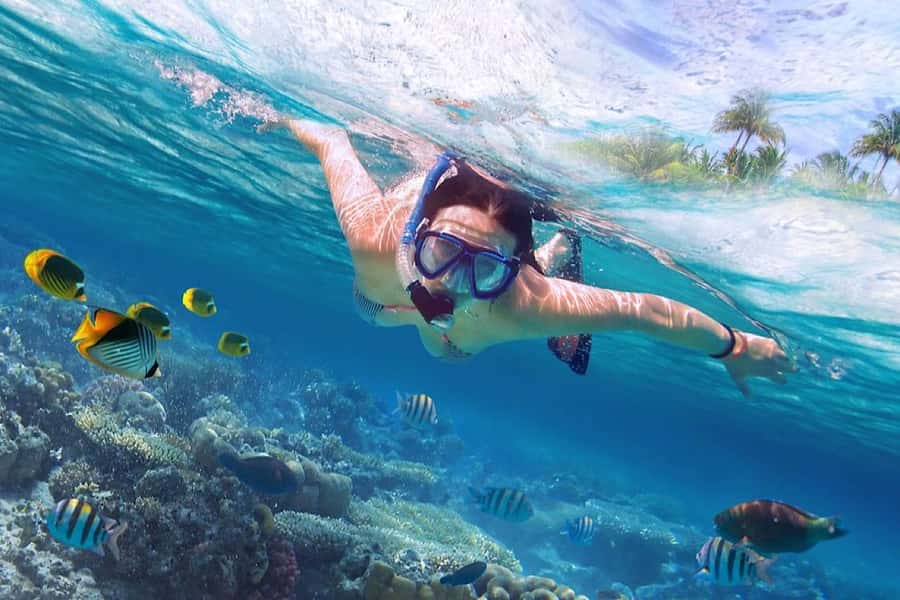 North Bali: Dolphin, Ulun Danu Temple, & Banyumala Waterfall - Why this North Bali day works