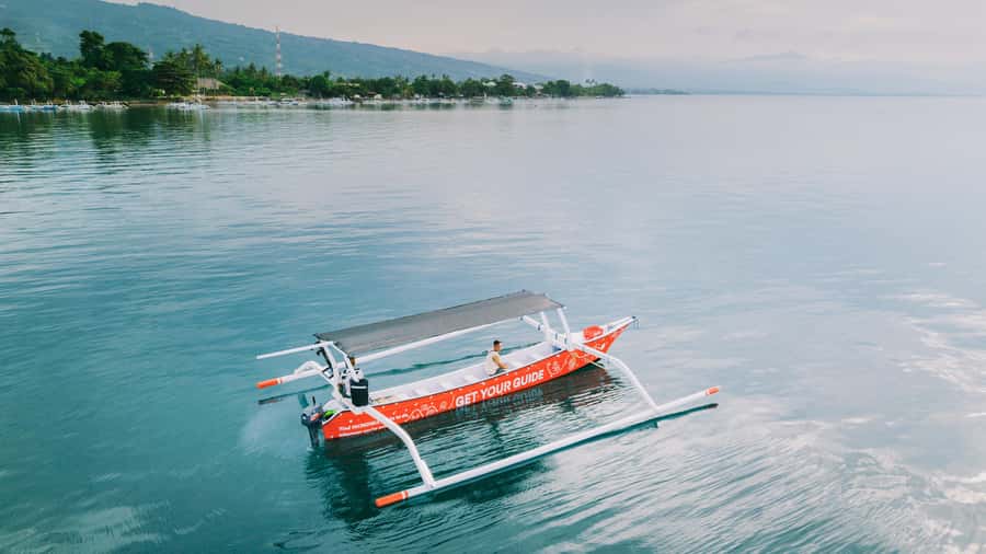 North Bali: Dolphin, Ulun Danu Temple, & Banyumala Waterfall - Dolphin watching in the public ocean