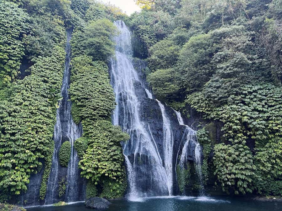 North Bali: Dolphin, Ulun Danu Temple, & Banyumala Waterfall - Food, cost, and what is included