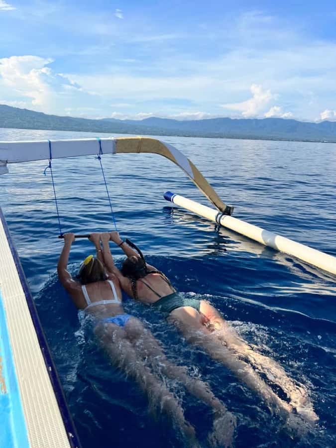 North Bali: Dolphin, Ulun Danu Temple, & Banyumala Waterfall - Who should book this experience