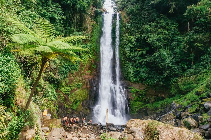 North Bali: Sunrise Tour with Dolphins, Waterfalls & Temples - Gitgit Waterfall brings a change of pace