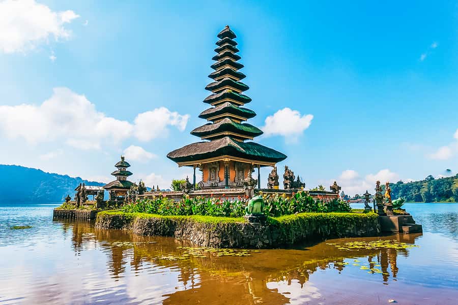 North Bali: Sunrise Tour with Dolphins, Waterfalls & Temples - Why the driver can make or break the day