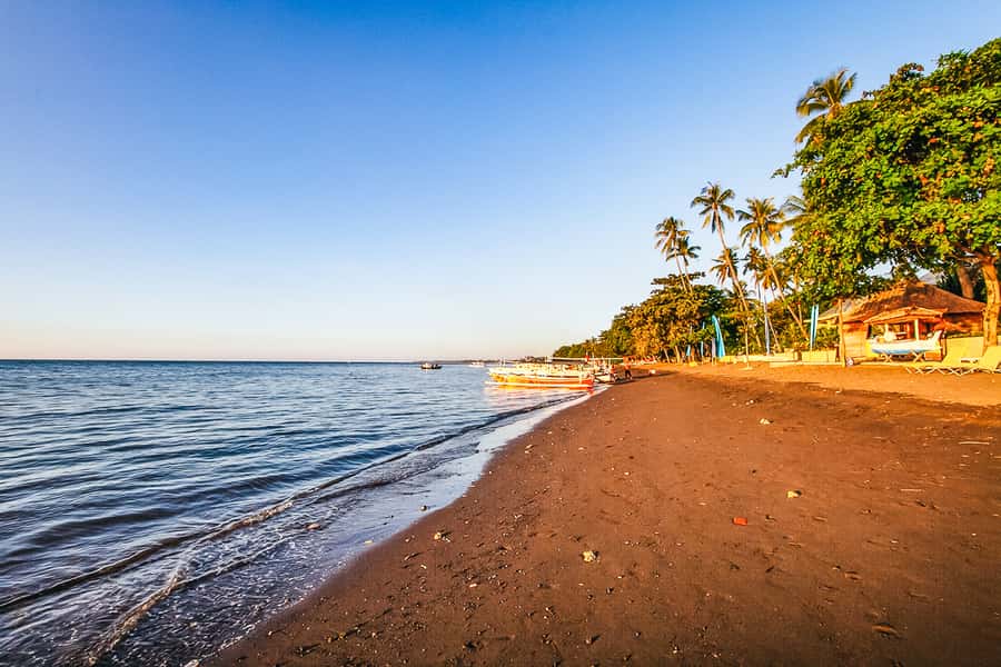 North Bali: Sunrise Tour with Dolphins, Waterfalls & Temples - Who will enjoy this day most