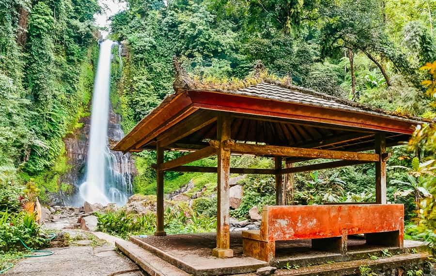 North Bali: Sunrise Tour with Dolphins, Waterfalls & Temples - What to bring and how to prepare