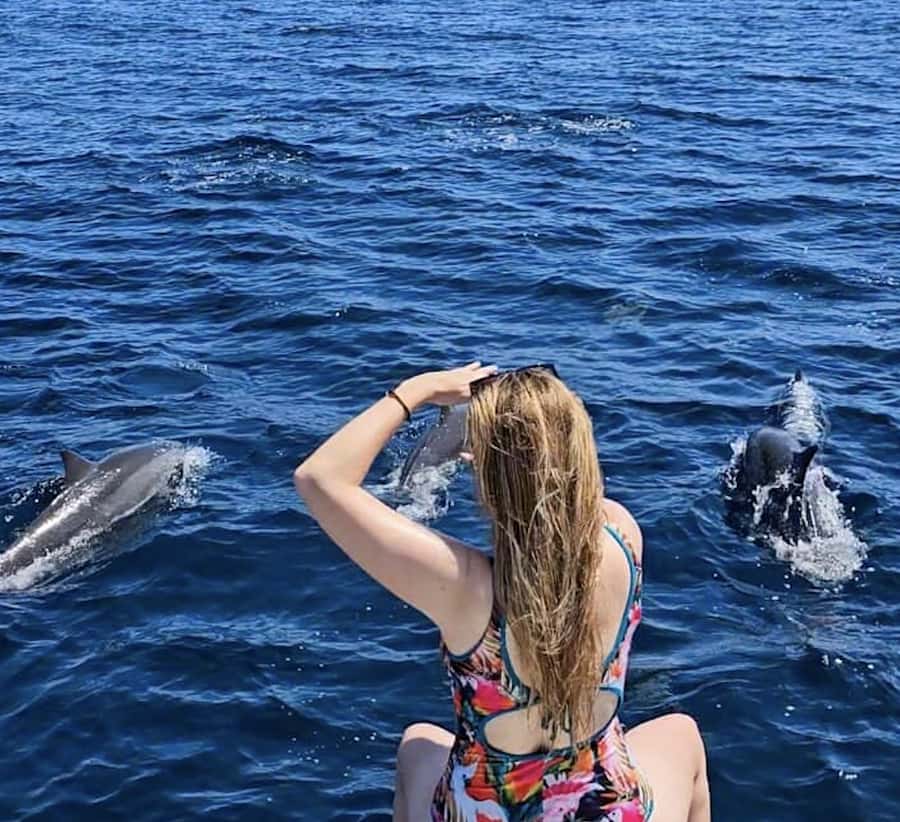 North Bali: Sunrise Tour with Dolphins, Waterfalls & Temples - What the dolphin ride is really like