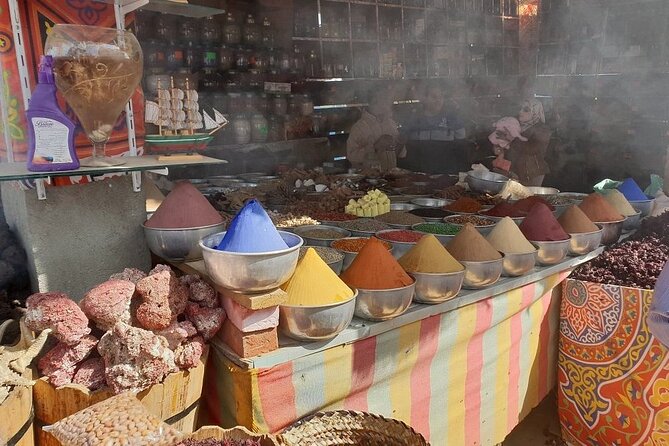 Nubian Village and Philae Temple Private Guided Tour From Aswan - The Nubian Village beyond the postcard colors