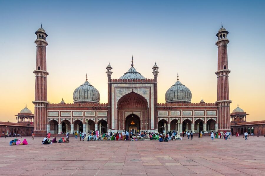 Old Delhi Temples and Spiritual Sites Private 6-Hour Tour - What the private guide and driver add