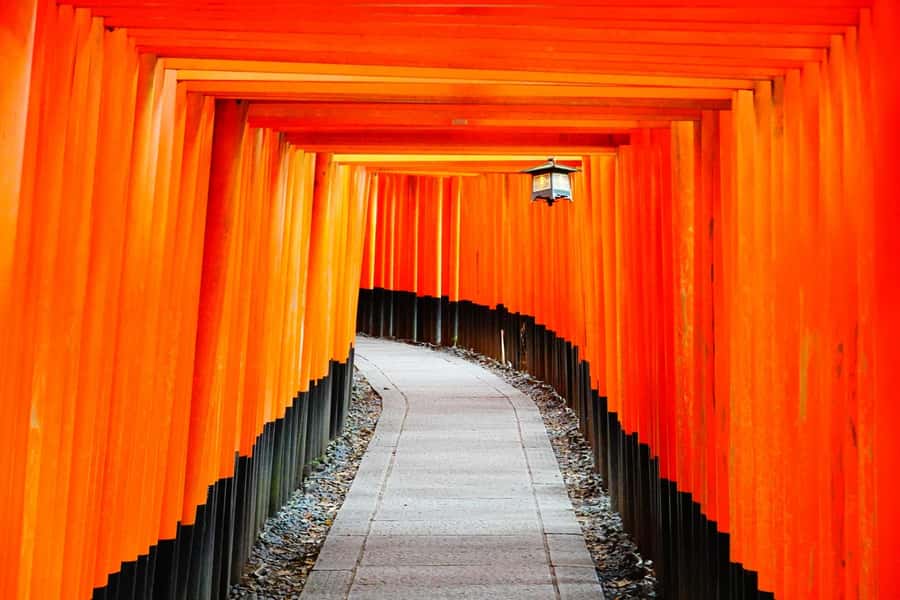 Osaka/Kyoto: Arashiyama, Nara & Fushimi Inari Shrine w/Lunch - One day, four famous places