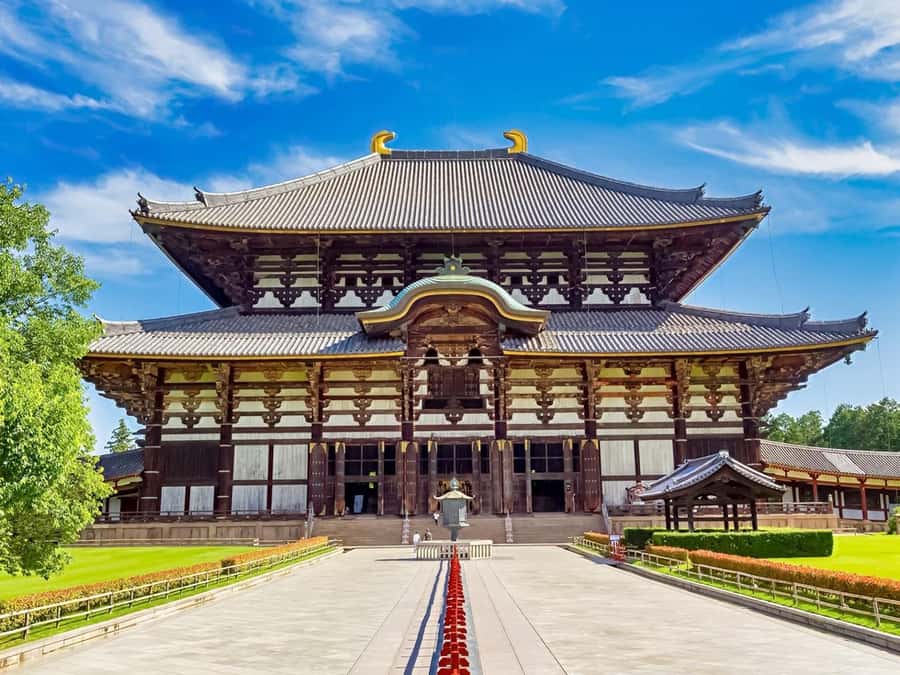 Osaka/Kyoto: Arashiyama, Nara & Fushimi Inari Shrine w/Lunch - Fushimi Inari Shrine: red gates with a strict timetable