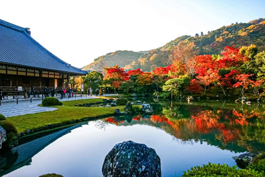 Osaka/Kyoto: Arashiyama, Nara & Fushimi Inari Shrine w/Lunch - What the bus ride adds to the day