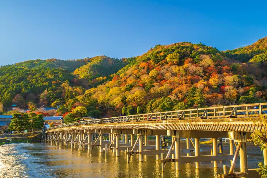 Osaka/Kyoto: Arashiyama, Nara & Fushimi Inari Shrine w/Lunch - Who will enjoy this tour most?