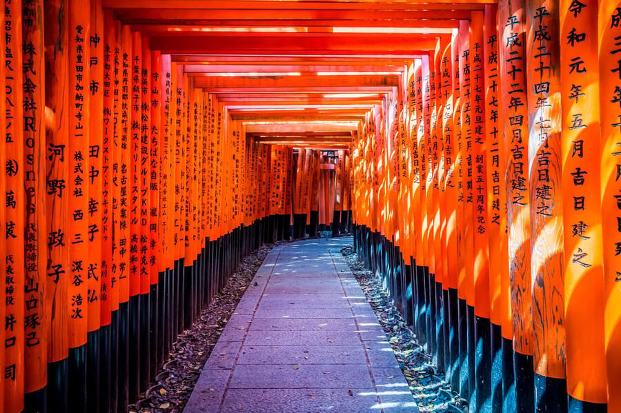 Osaka/Kyoto: Arashiyama, Nara Park, Fushimi Shrine Tour - Key points to know before booking