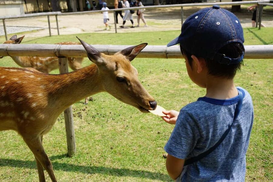 Osaka/Kyoto: Arashiyama, Nara Park, Fushimi Shrine Tour - The practical limits of a fixed coach schedule