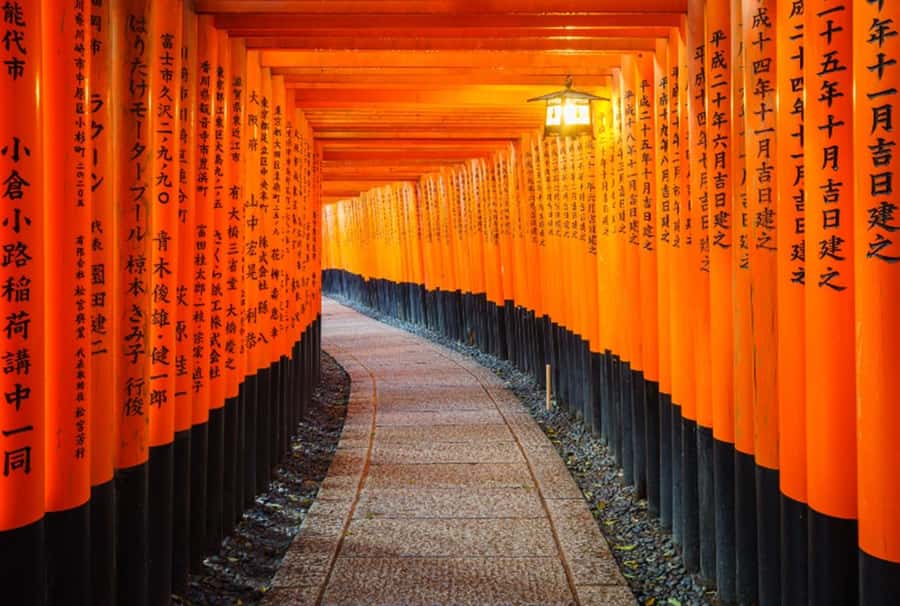 Osaka/Kyoto:Kinkakuji,Arashiyama,FushimiInariShrine,NaraPark - Nara Park and Todai-ji begin the day