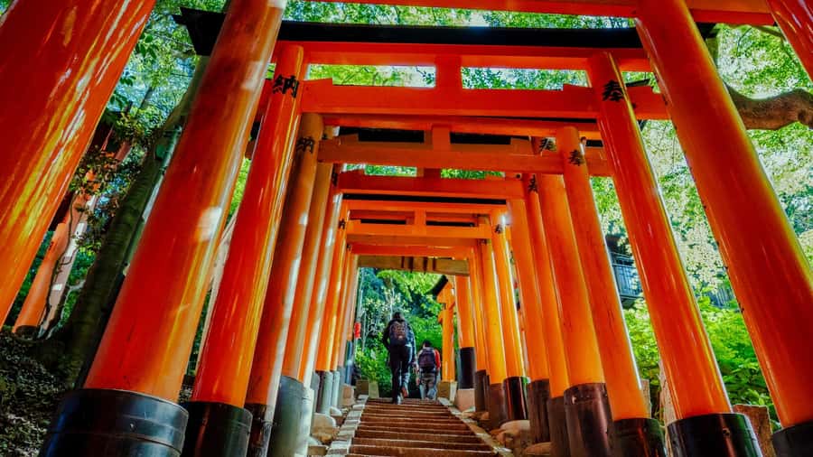 Osaka/Kyoto:Kinkakuji,Arashiyama,FushimiInariShrine,NaraPark - Arashiyama’s bamboo grove in 60 or 120 minutes