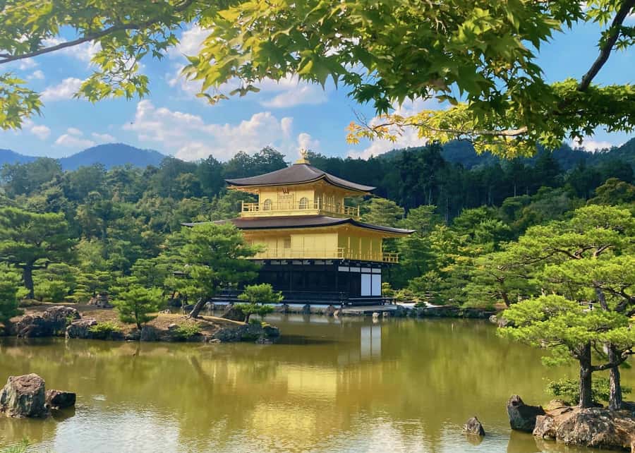 Osaka/Kyoto:Kinkakuji,Arashiyama,FushimiInariShrine,NaraPark - Guides, group size, and the value of organization