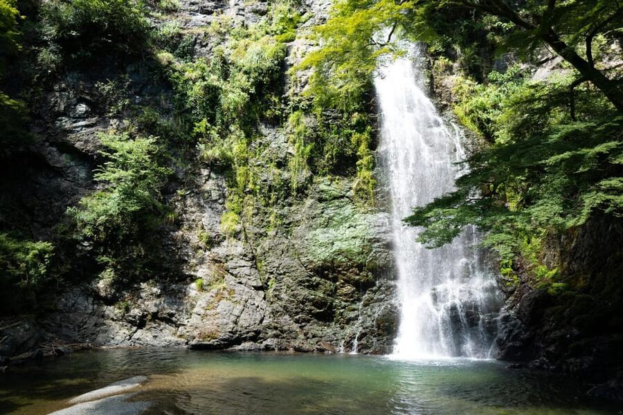 Osaka: Minoh, Katsuoji Temple, & Minoh Falls Full-day Tour - Is $135 a fair price?