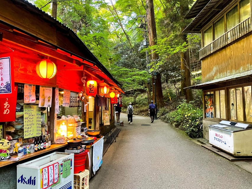 Osaka: Minoh, Katsuoji Temple, & Minoh Falls Full-day Tour - Who should book this day trip?