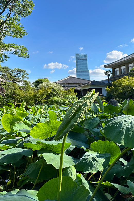 Osaka: Private Tour of Shitennoji, Osaka's Oldest Temple - What the private format adds