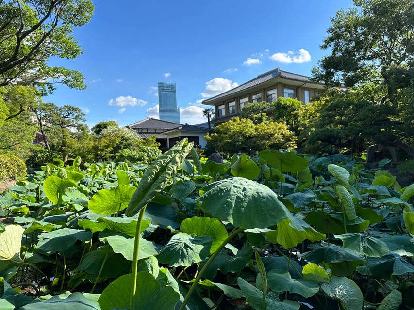 Osaka: Private Tour of Shitennoji, Osaka's Oldest Temple - Is $60 a fair price?