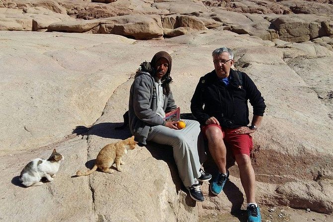 Overnight Trip to Saint Catherine Monastery from Cairo - Safety, comfort, and practical preparation