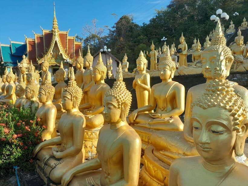 Pakse: Mystic Falls & Timeless Temples of Southern Laos Tour - Transport, guides, and comfort
