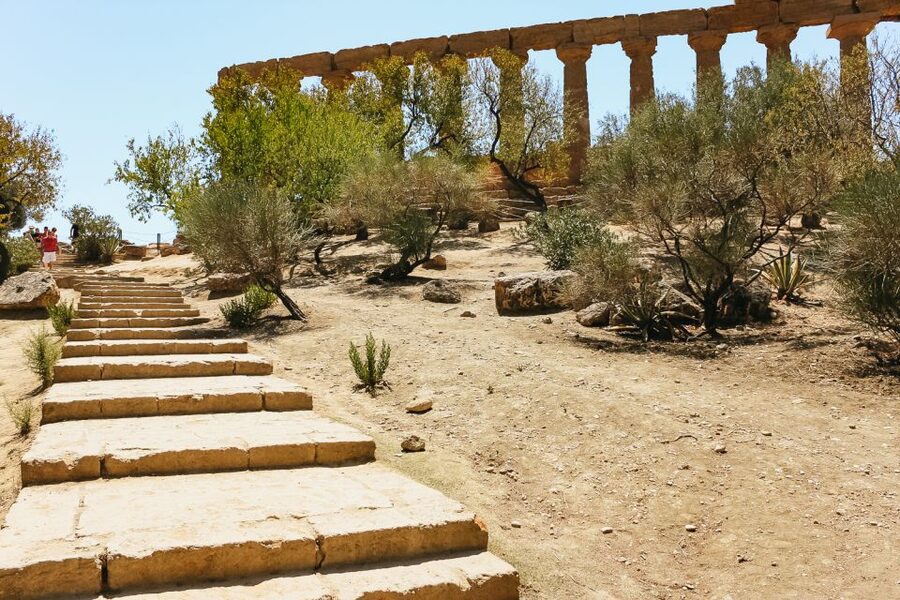 Palermo: Agrigento and the Valley of the Temples Day Tour - What the $77 price really buys you