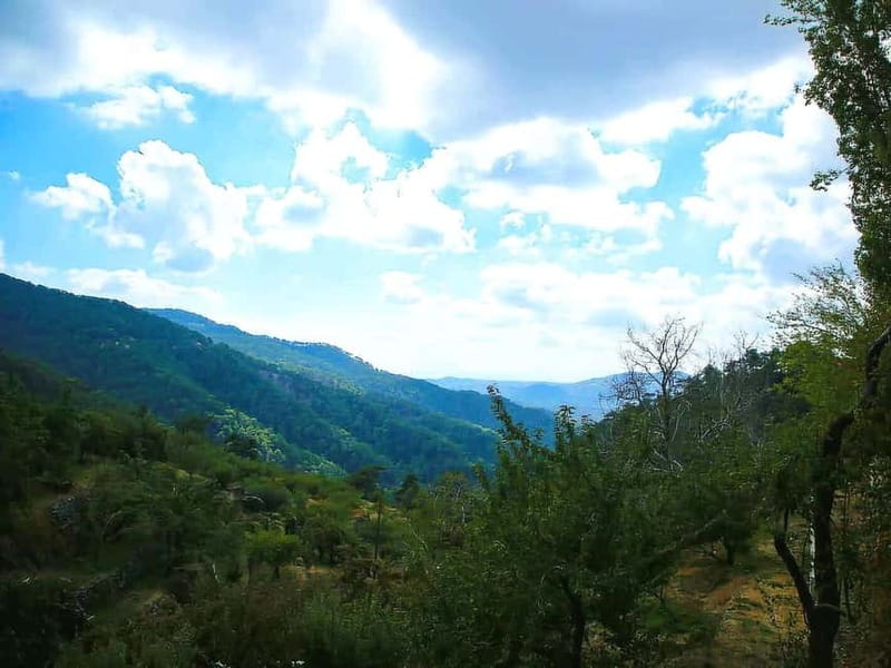 Paphos: Troodos, Omodos & Kykkos Monastery Full-Day Tour - The road through Pedoulas and Prodromos