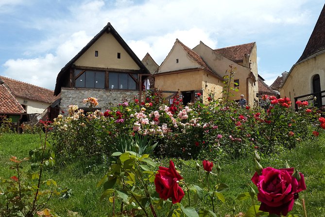 Peles Castle, Bran Castle, Rasnov Fortress and Sinaia Monastery Tour from Brasov - Peleș Castle and the royal road to Sinaia