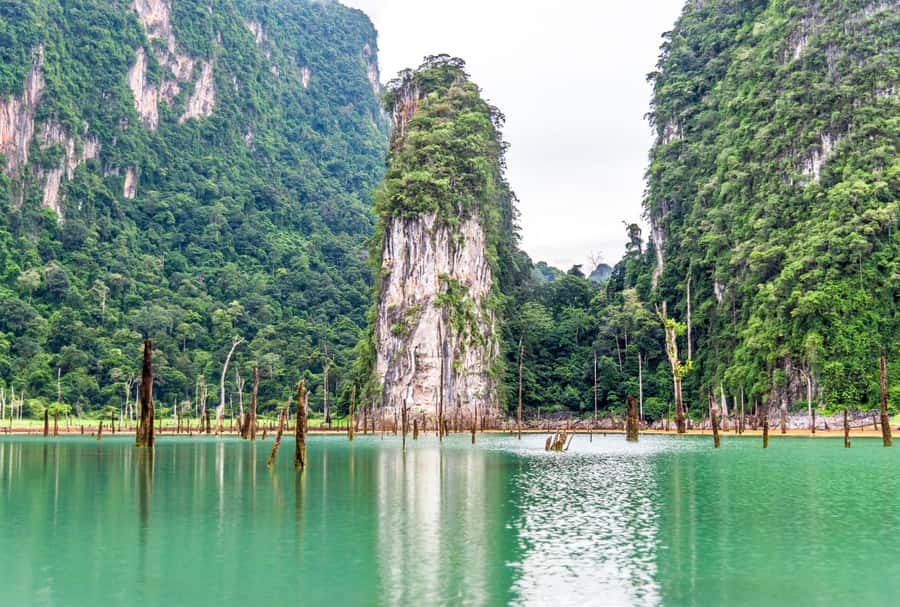 Phuket:Cheow Lan Lake & Kho-Sok,Bamboo Rafting,Monkey Temple - Guide language and organization