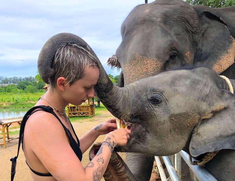 Phuket City Tour with Viewpoints, Temples & Elephant Feeding - The cashew factory, and how to handle the sales stop
