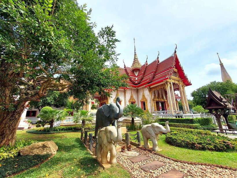 Phuket City Tour with Viewpoints, Temples & Elephant Feeding - Phuket Old Town for architecture and street life