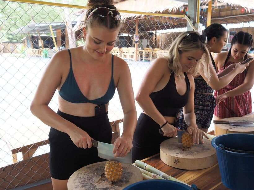 Phuket City Tour with Viewpoints, Temples & Elephant Feeding - Who will enjoy this Phuket tour most