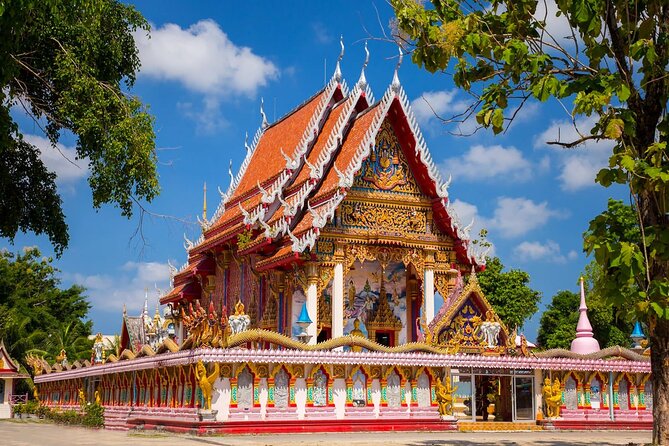 Phuket Giant Water Lilies & Temple Tour - Private & All-Inclusive - The big appeal: giant lilies and aerial photos