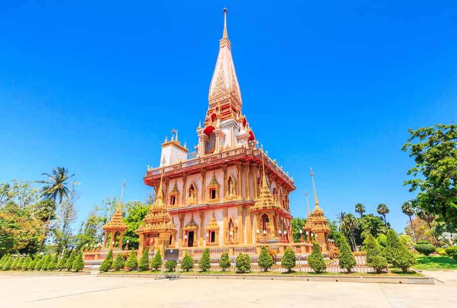 Phuket: Phuket Elephant Sanctuary, Wat Chalong & more - Why the elephants are the main event