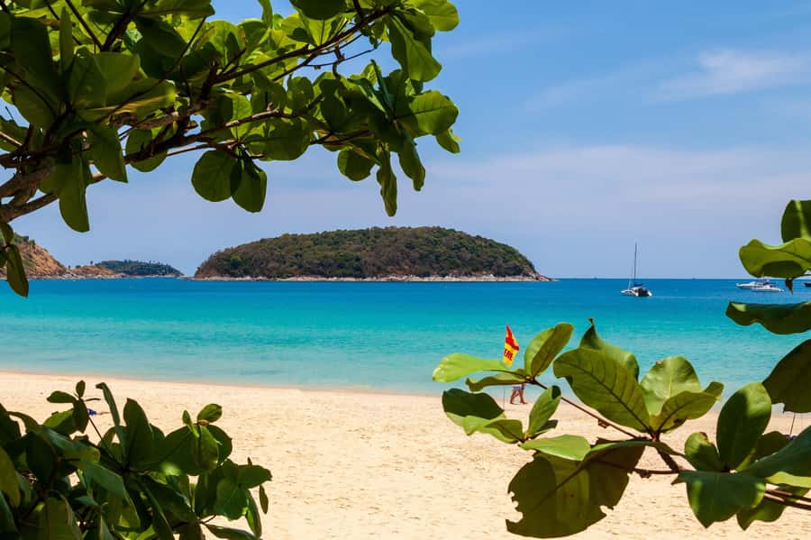Phuket: Phuket Elephant Sanctuary, Wat Chalong & more - Who will enjoy this Phuket day trip?