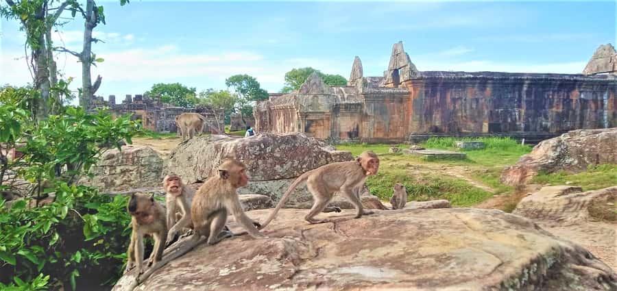 Preah Vihear Temple Koh Ker & BengMealea Tour from Siem Reap - What the $41 price really means