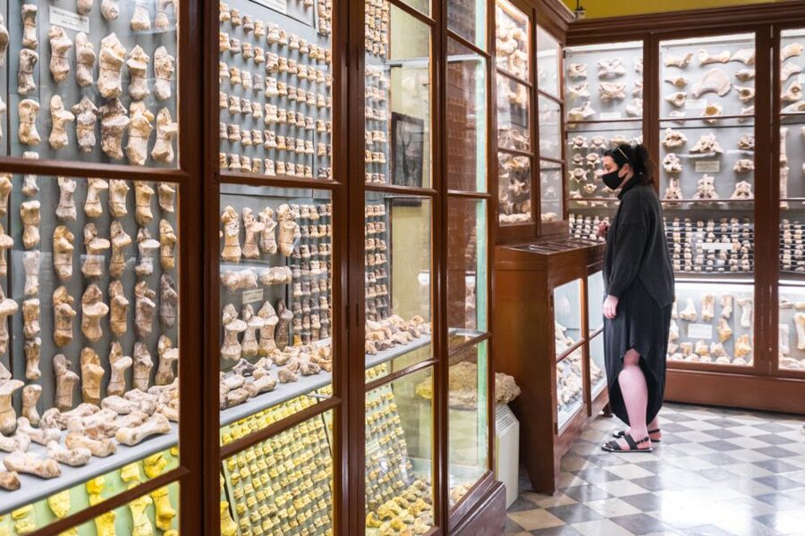 Prehistoric Temples of Malta Tour - Small details that improve the morning