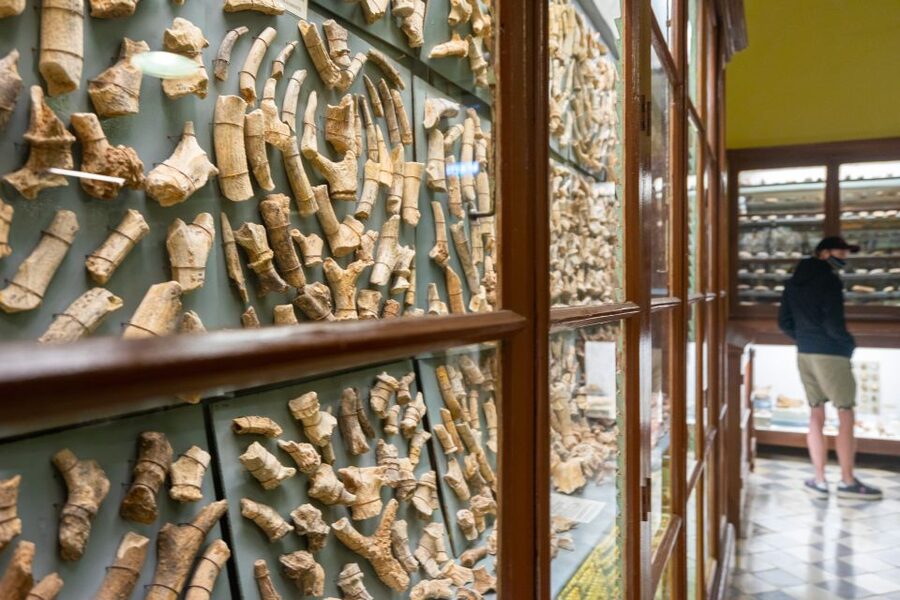 Prehistoric Temples of Malta Tour - Why Malta’s oldest monuments deserve a half-day