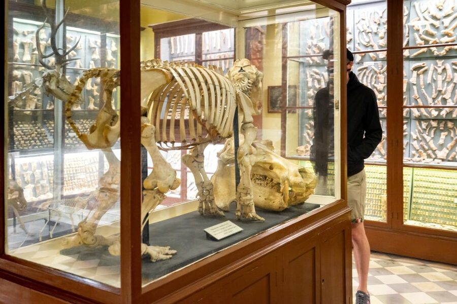 Prehistoric Temples of Malta Tour - Walking, heat, and who should book