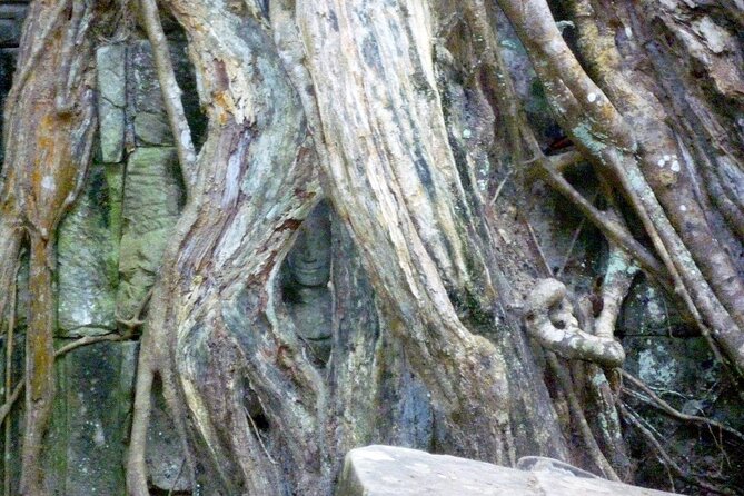 Private Angkor Wat Day Tour - Best of Angkor - Ta Nei, a small temple away from the bus route
