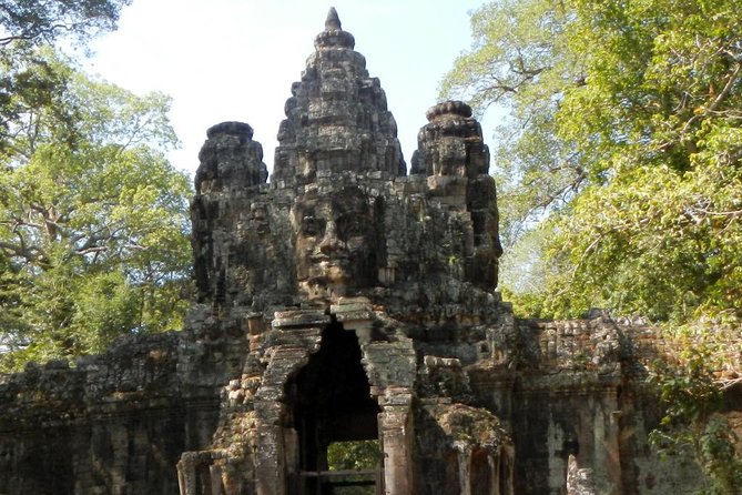 Private Angkor Wat Day Tour - Best of Angkor - Ta Prohm and the pull of the jungle temple
