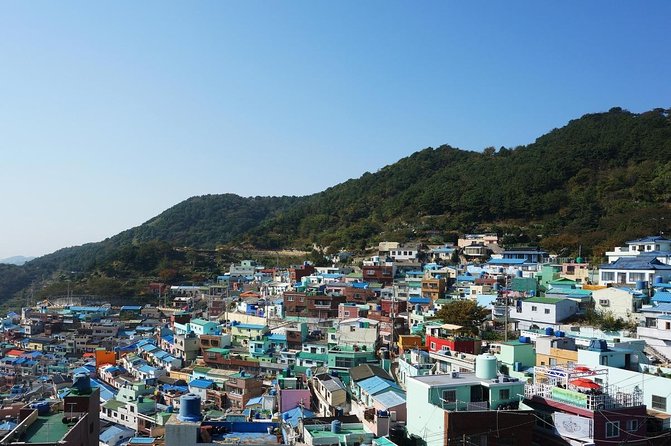 Private Busan tour with gamcheon culture village and the temple (Customizable) - Key points to know before booking