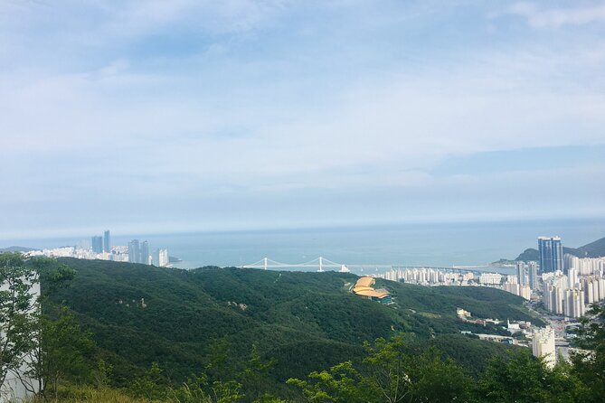 Private Busan tour with gamcheon culture village and the temple (Customizable) - Local lunch is part of the flexible appeal