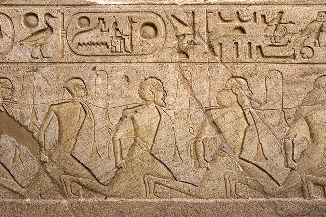 Private Day Tour to Abu Simbel Temples from Aswan - Private Tour - Should you book the Abu Simbel private tour?